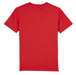 https://svgberlin.de/wp-content/uploads/2025/02/T-Shirt.png